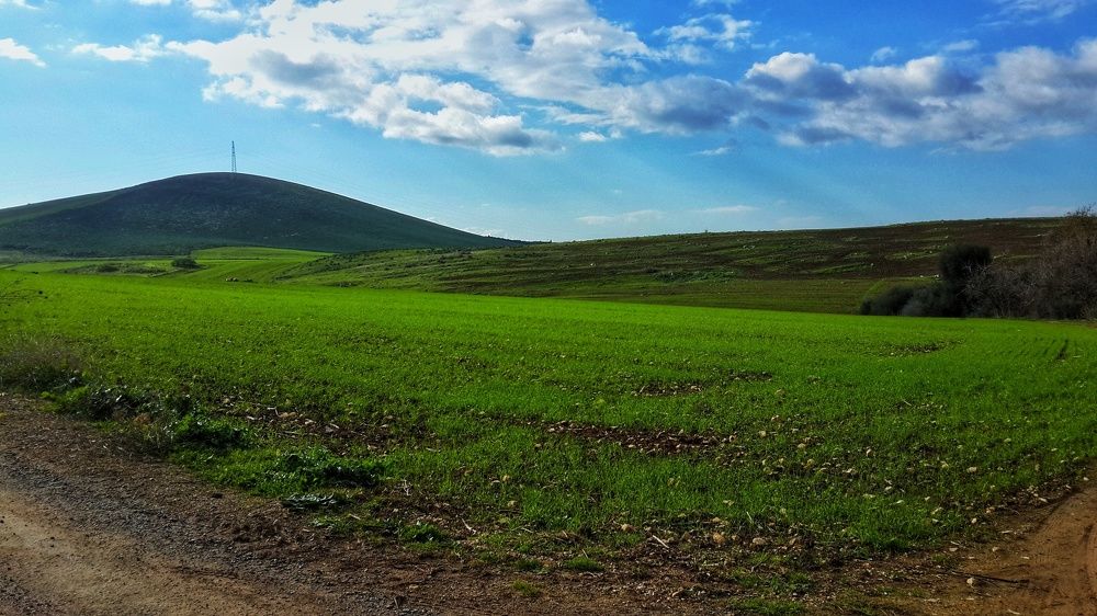 Фотография автора Yacine Meksi