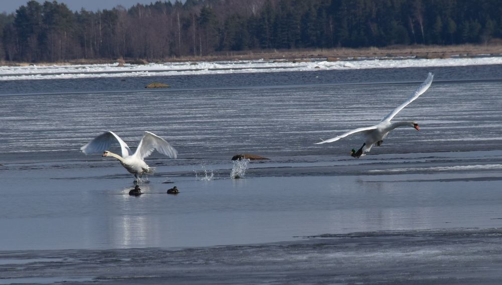 Photograph by Елена Викторовна Богданова