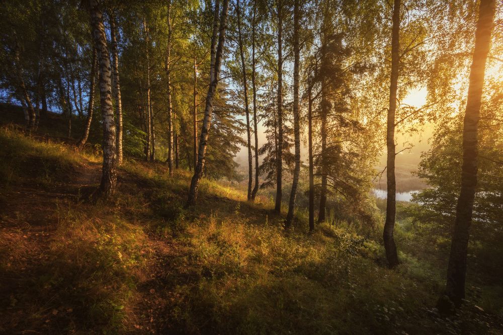 Photograph by Шевченко Николай