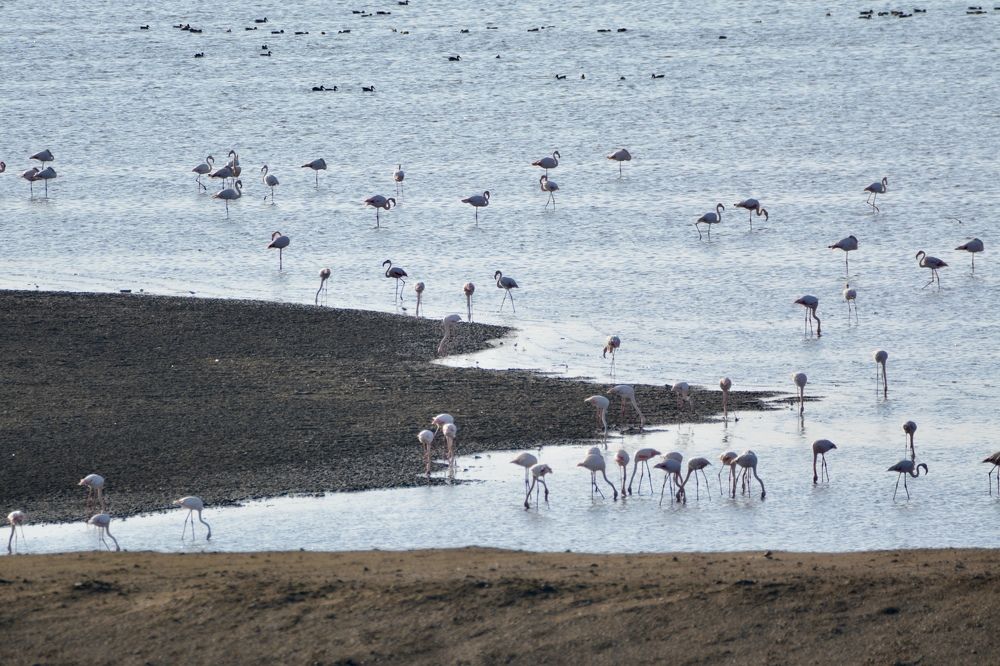 Photograph by Светлана Ткаченко