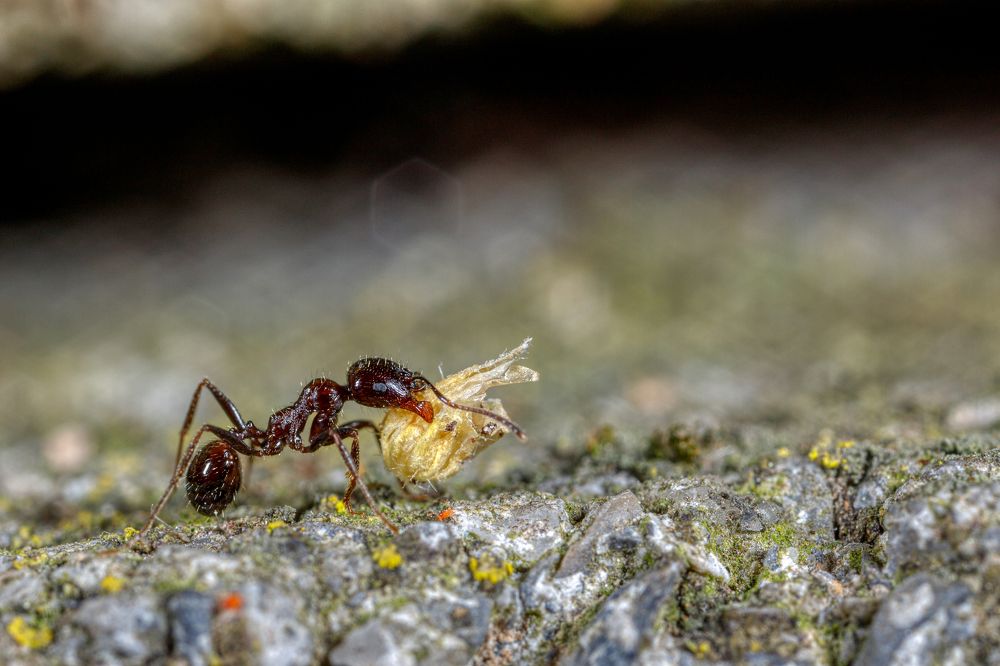 Фотография автора Vasileios Karapanagiotidis