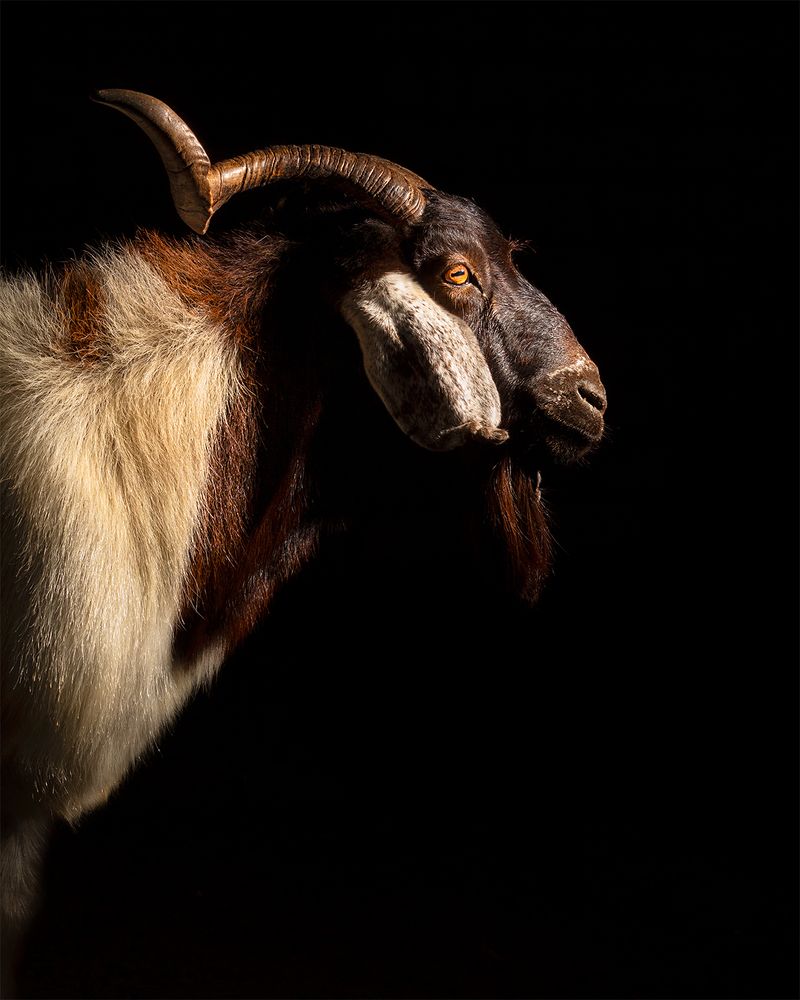 Photograph by Pedro Meneses