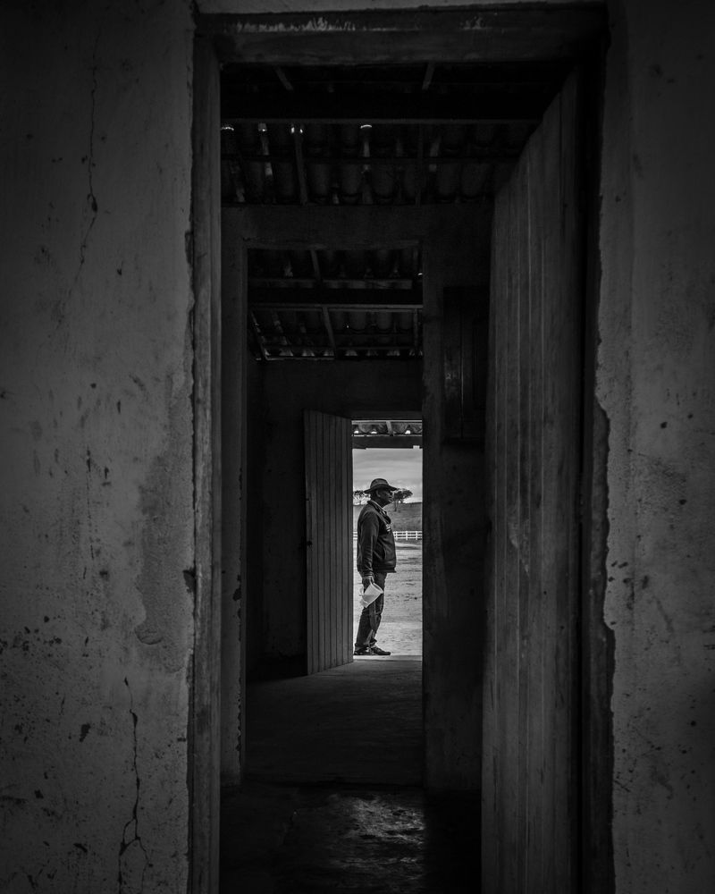 Photograph by Pedro Meneses