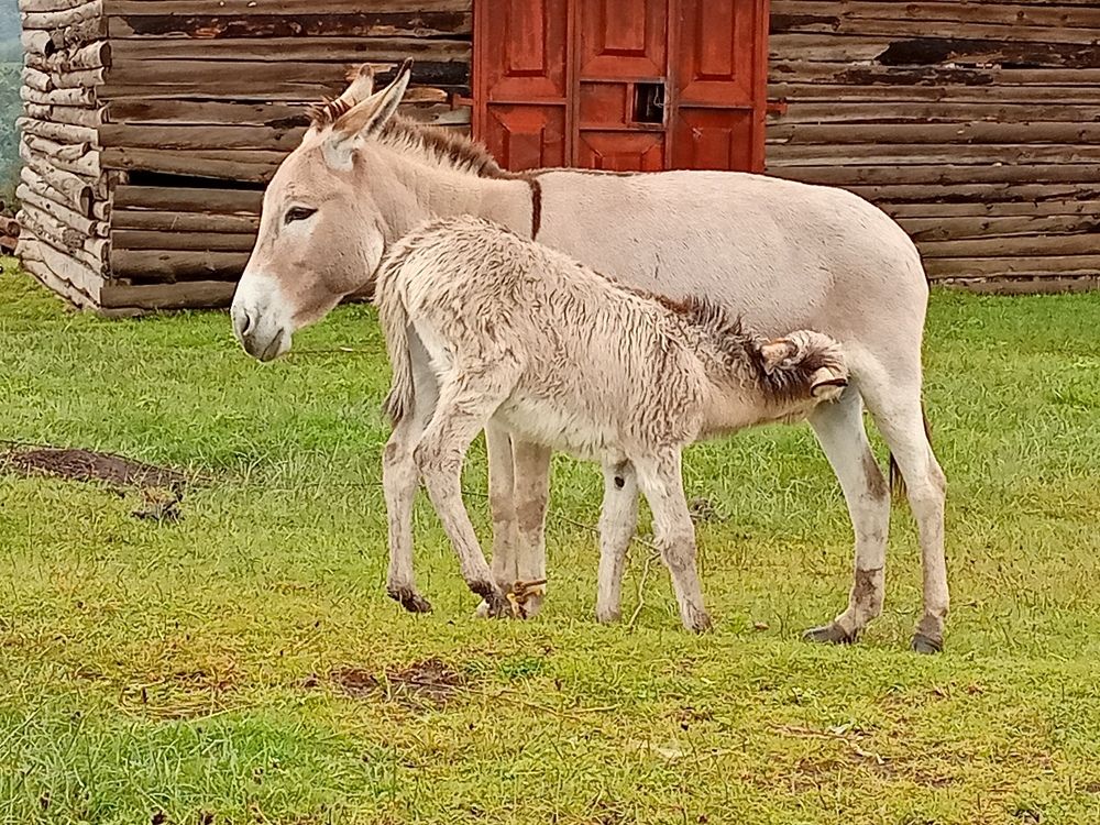 Photograph by Andrew Kyando