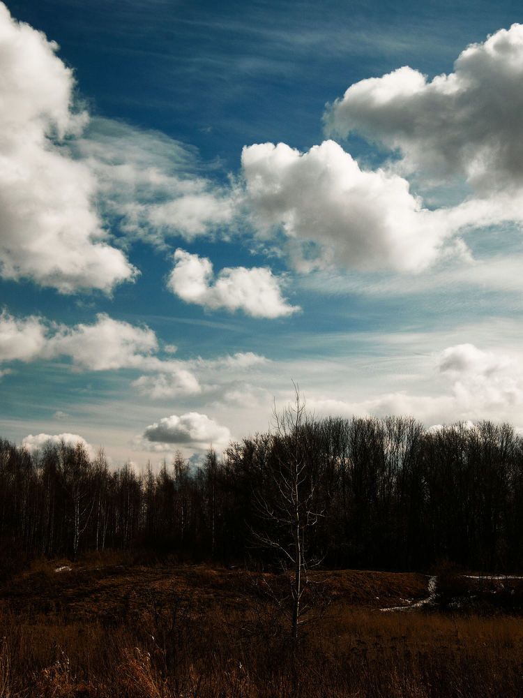 Photograph by Елена Никитина