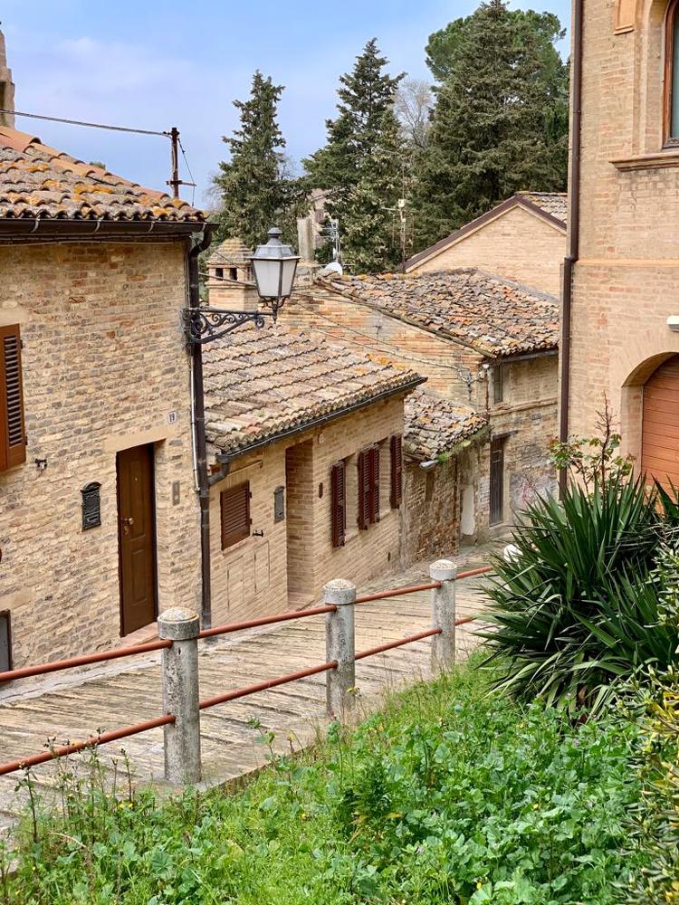 Photograph by Марина Неберекутина