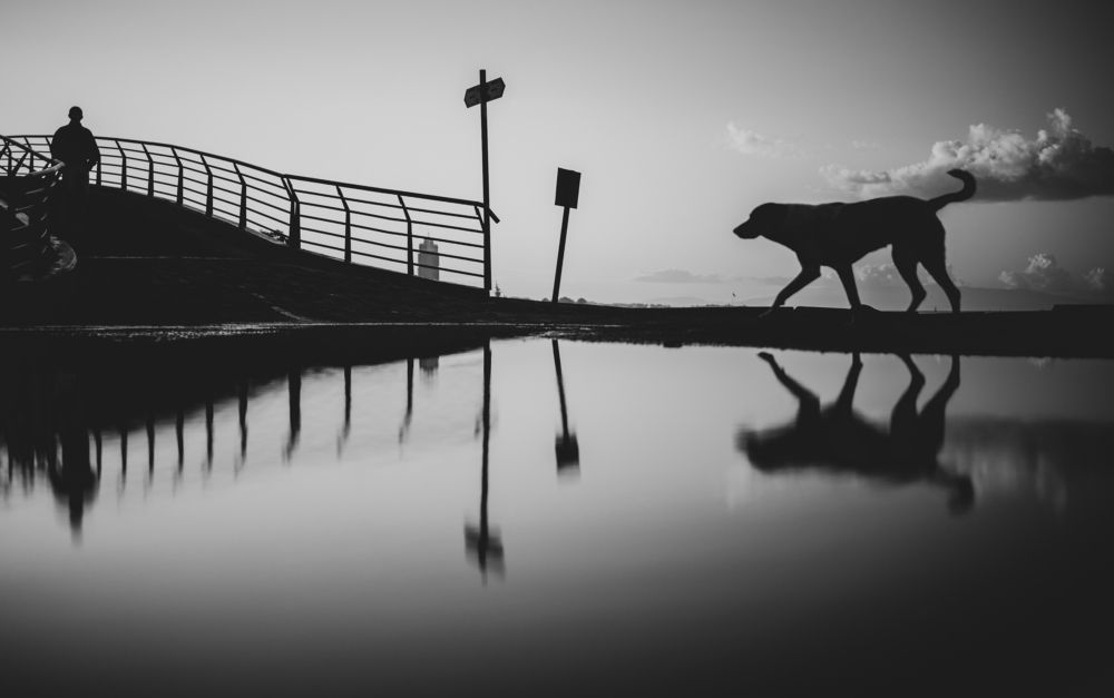 Photograph by erkan camlilar