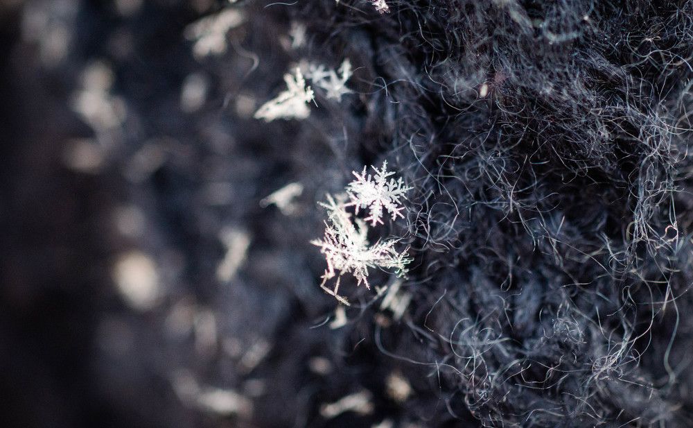 Photograph by Ирина