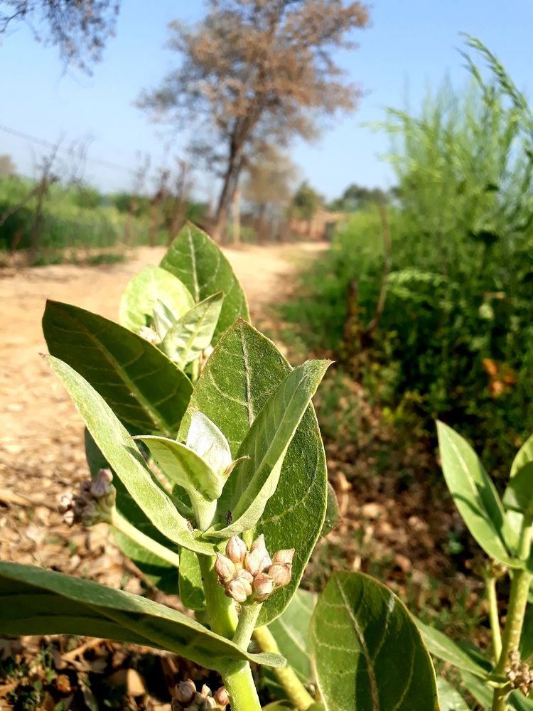 Photograph by DEEPAK BHANKHAR