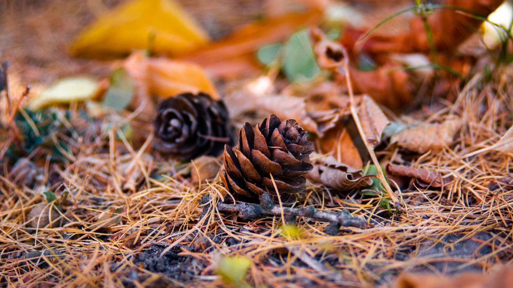 Photograph by Ирина