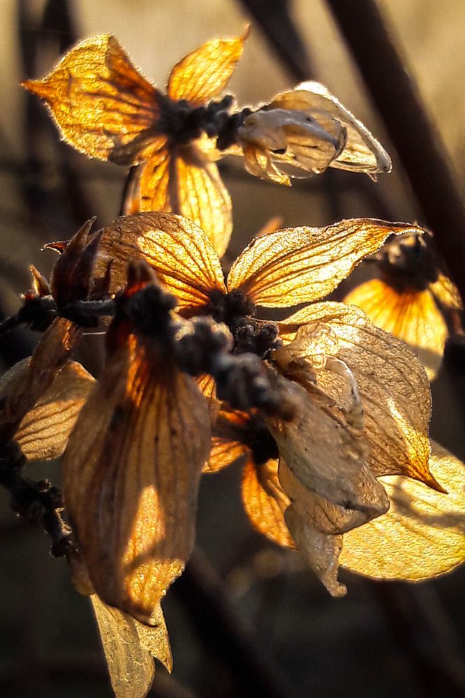 Photograph by Inna Logvinova