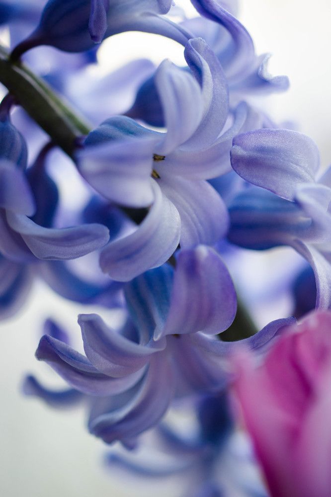 Photograph by Ирина