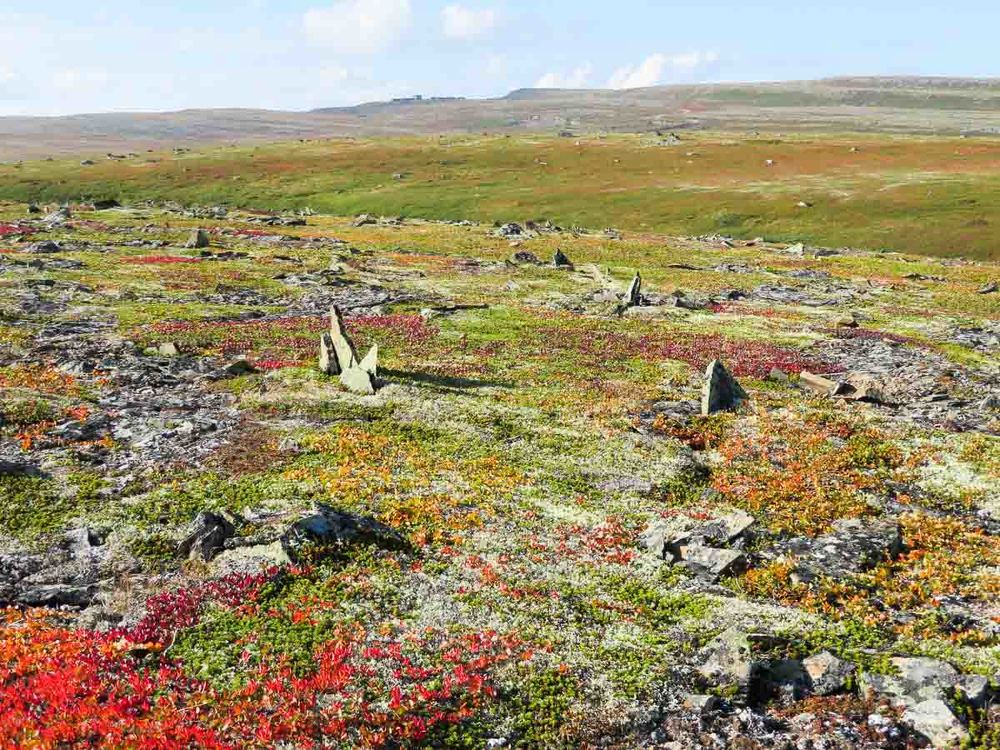 Photograph by Сергей Козинцев