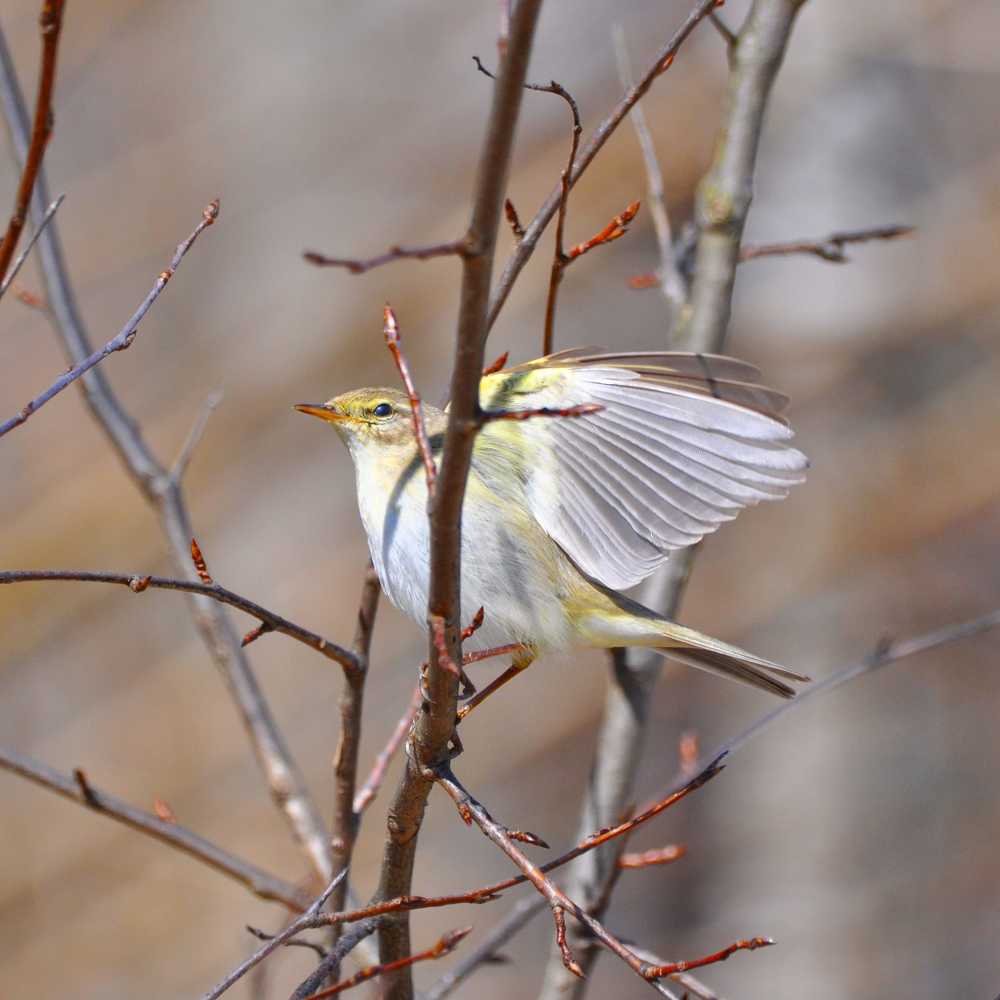 Photograph by Нина Мокина