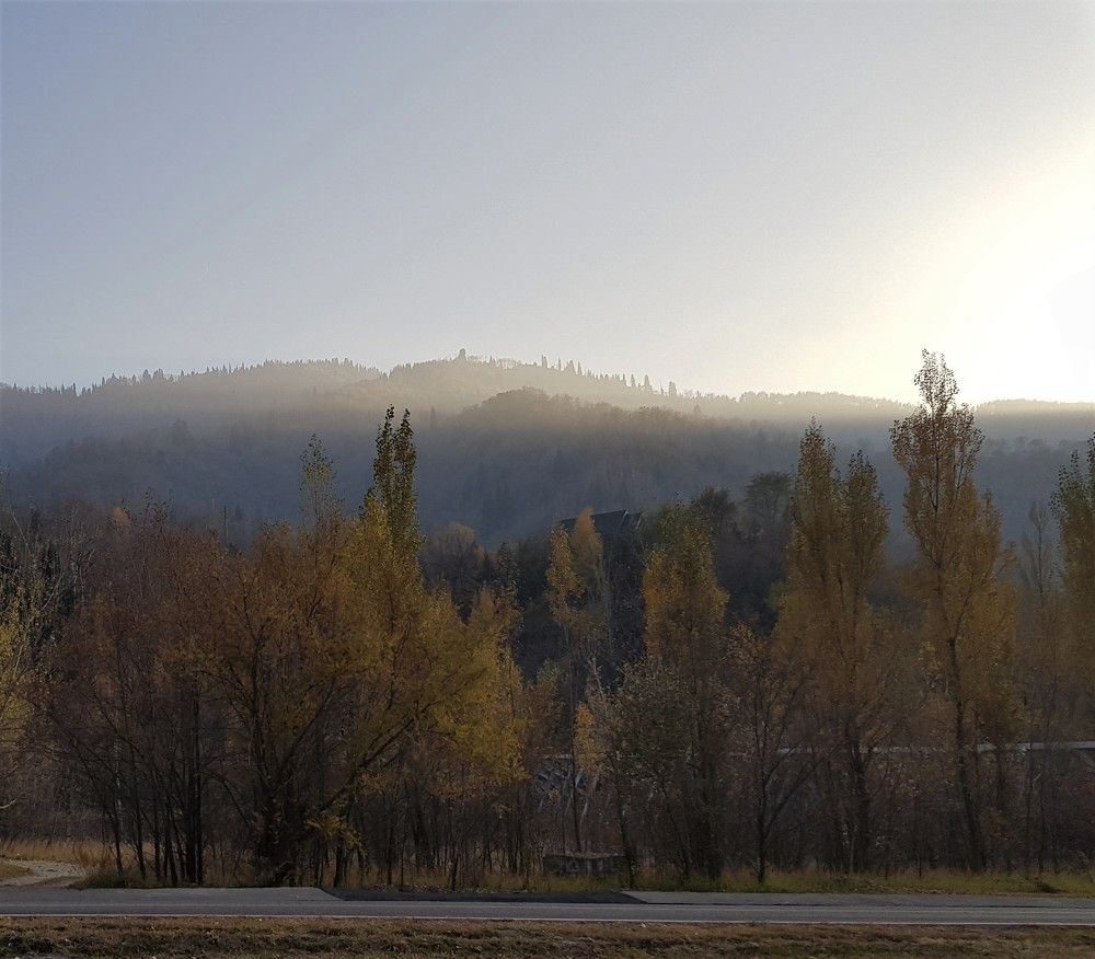 Photograph by Лариса