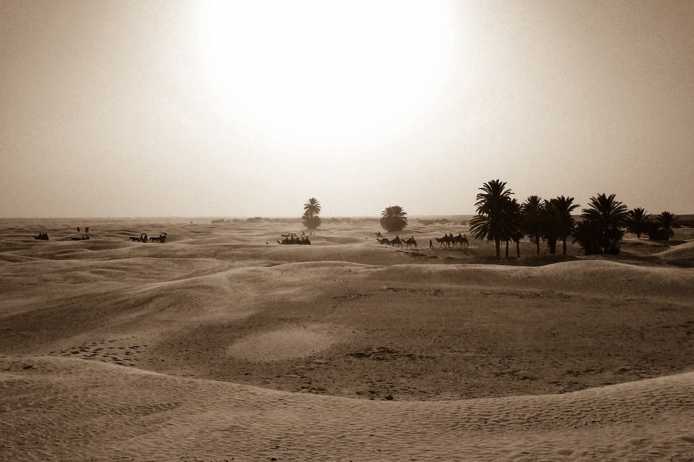 Photograph by Aleksandr Barsukov