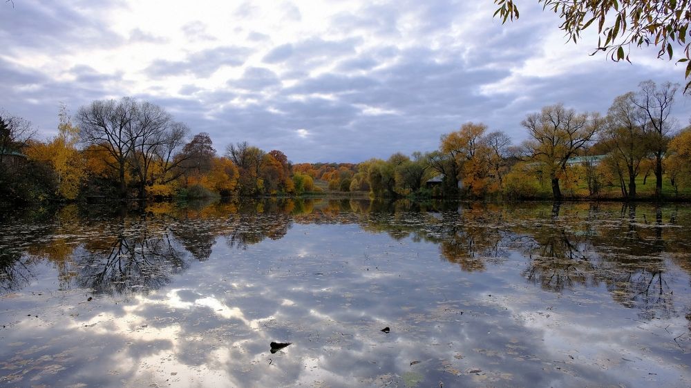 Photograph by Александр Елизаров