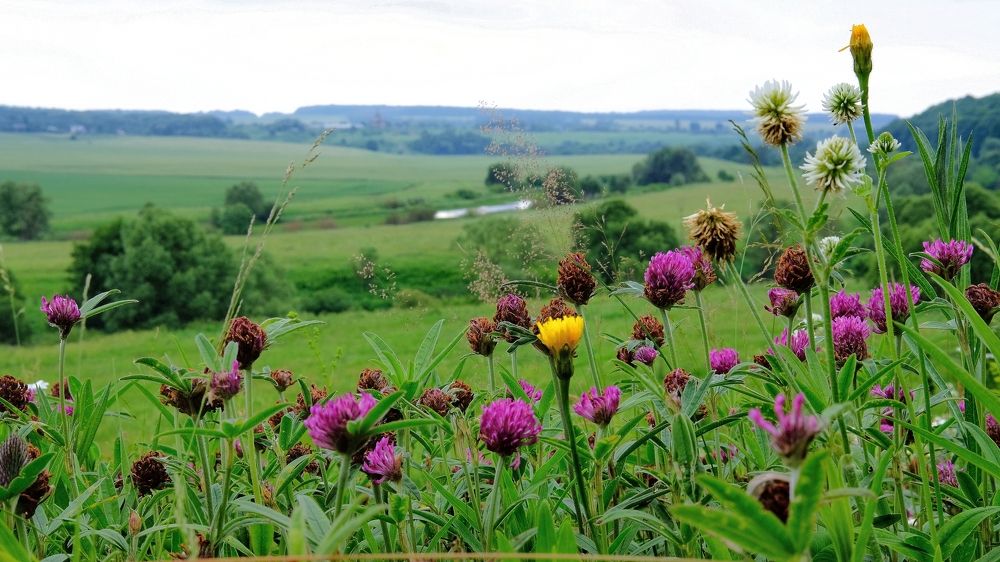 Photograph by Александр Елизаров