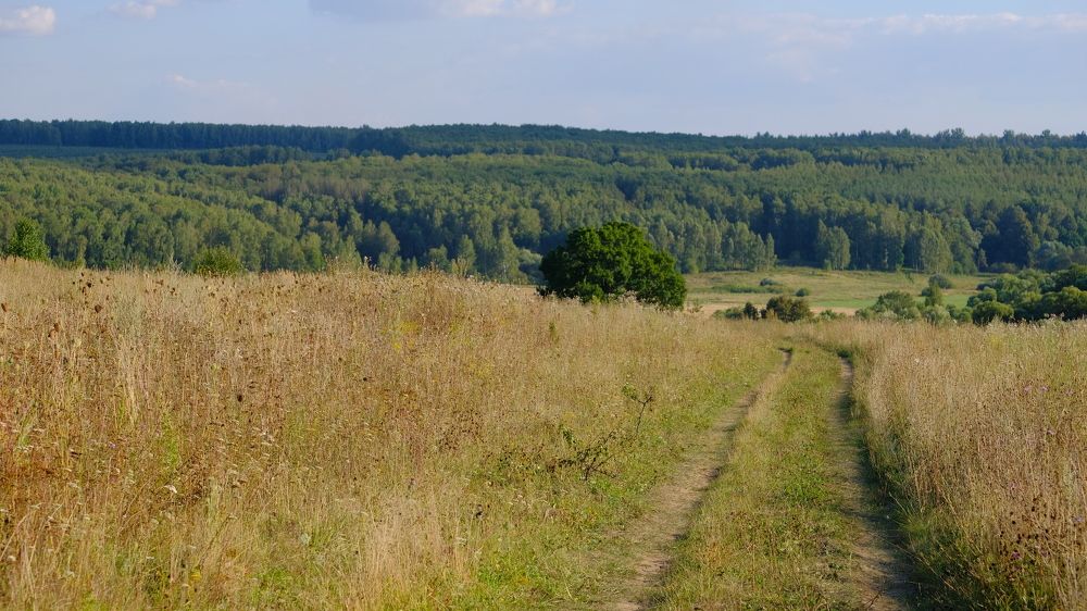 Photograph by Александр Елизаров