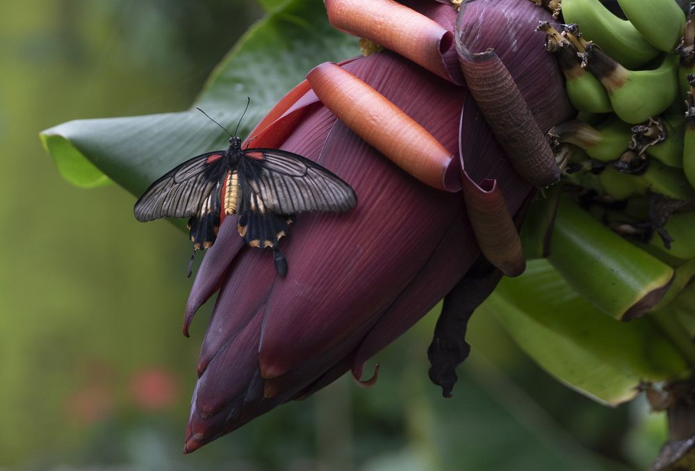 Photograph by Jesus Frias