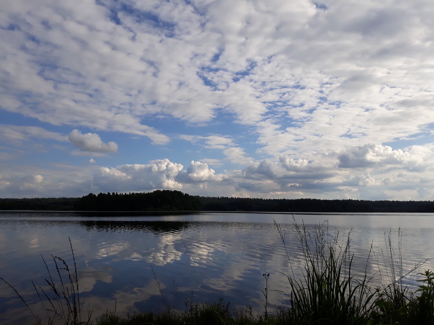 Photo #6005874