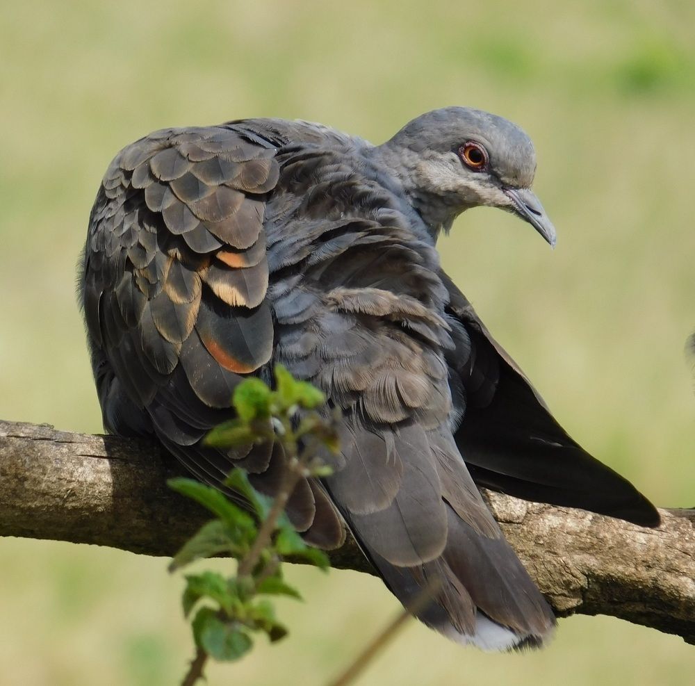 Photograph by Anil Kerai