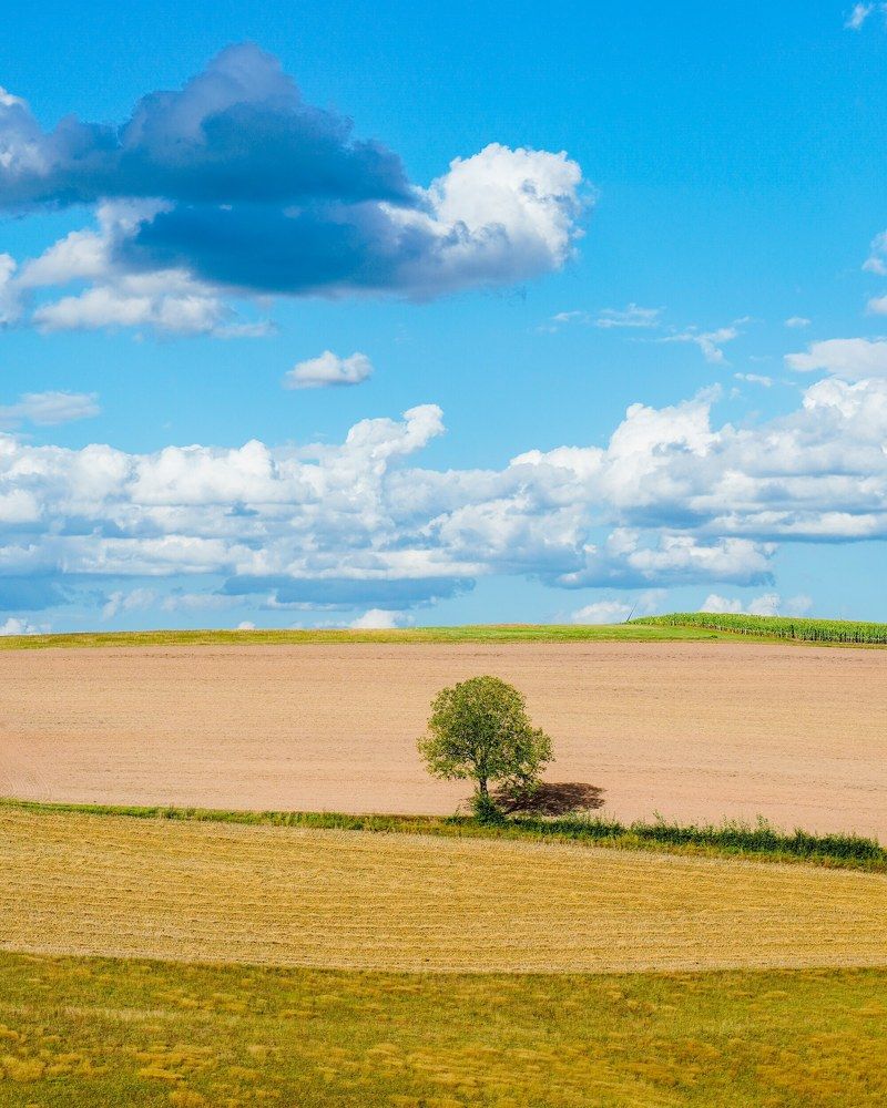 Photograph by Reinhold Seibel