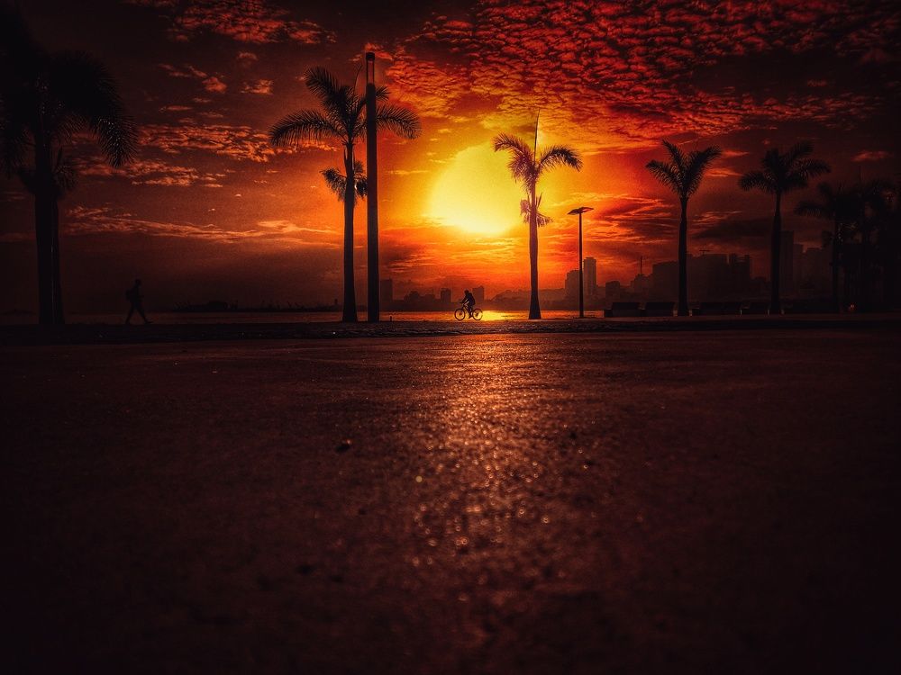 Photograph by Paulo Francisco