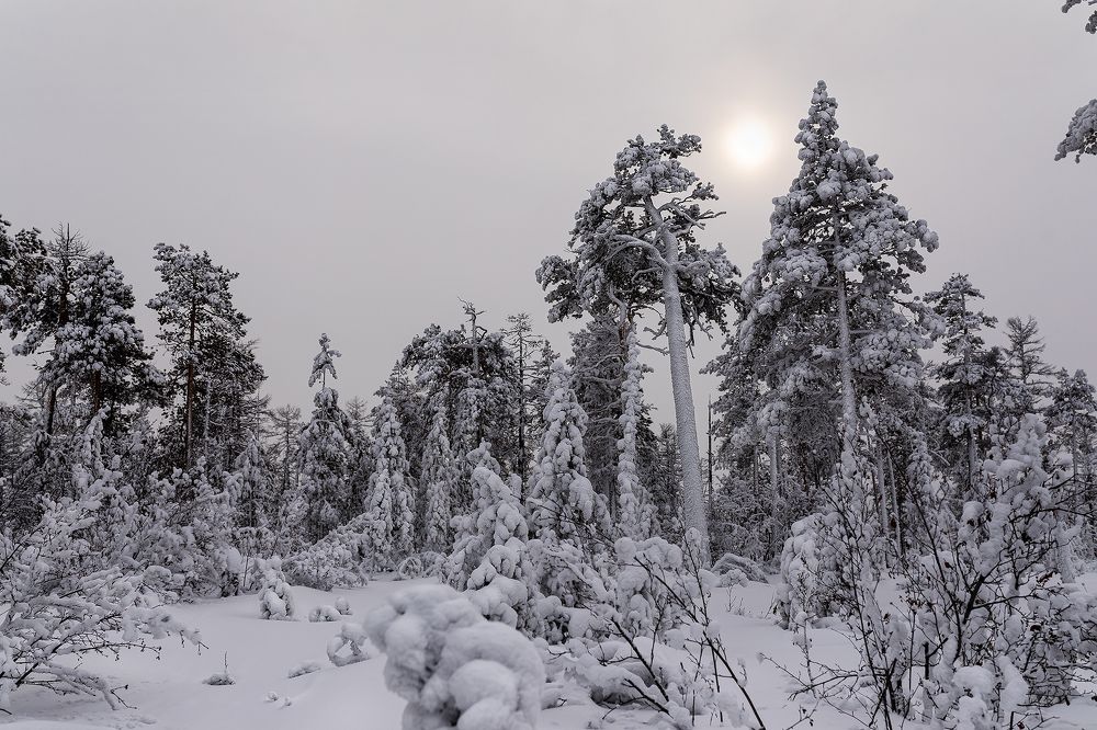 Photograph by Зарышнюк Роман