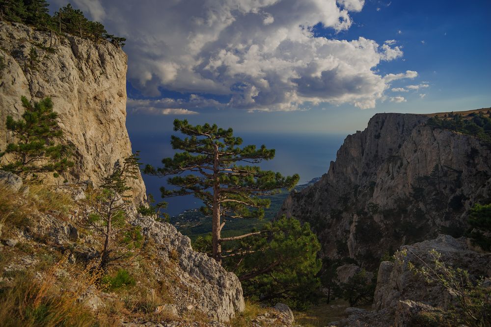 Фотография автора Дмитрий