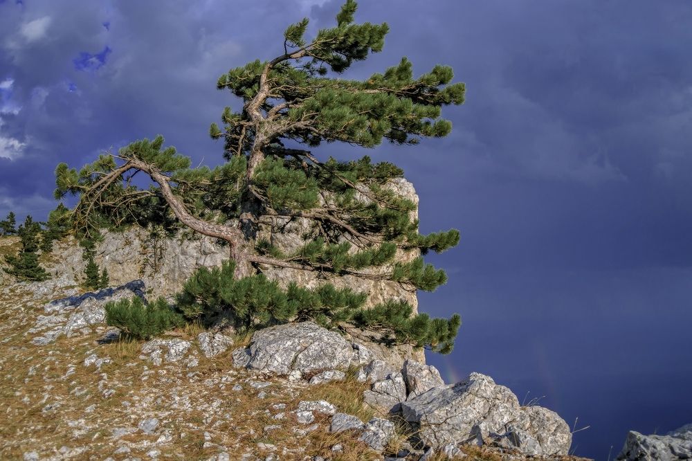 Фотография автора Дмитрий