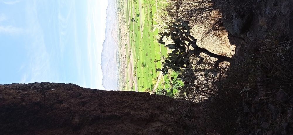 Photograph by Gerardo Jimenez