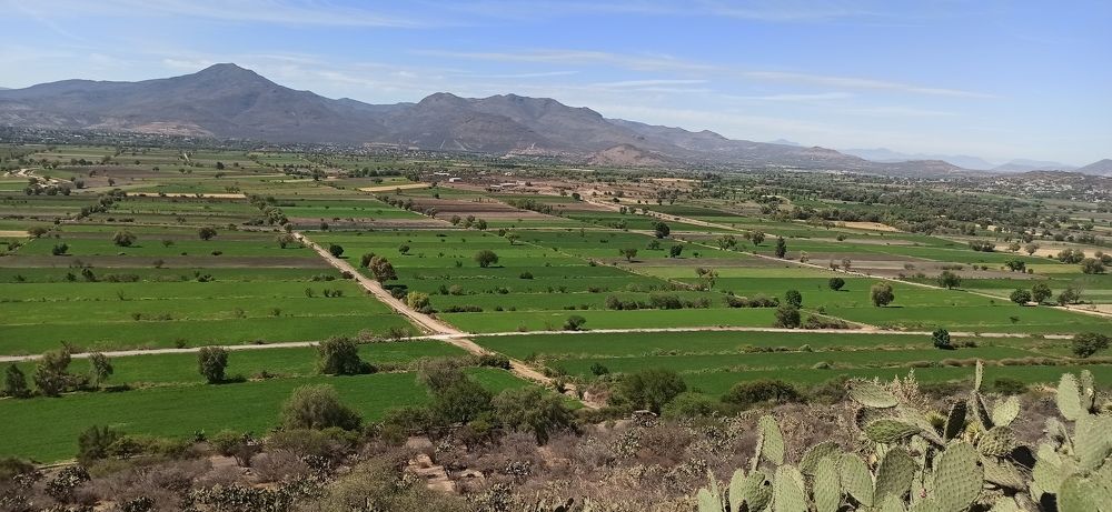 Photograph by Gerardo Jimenez