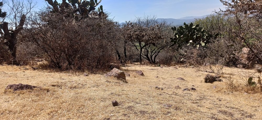 Photograph by Gerardo Jimenez