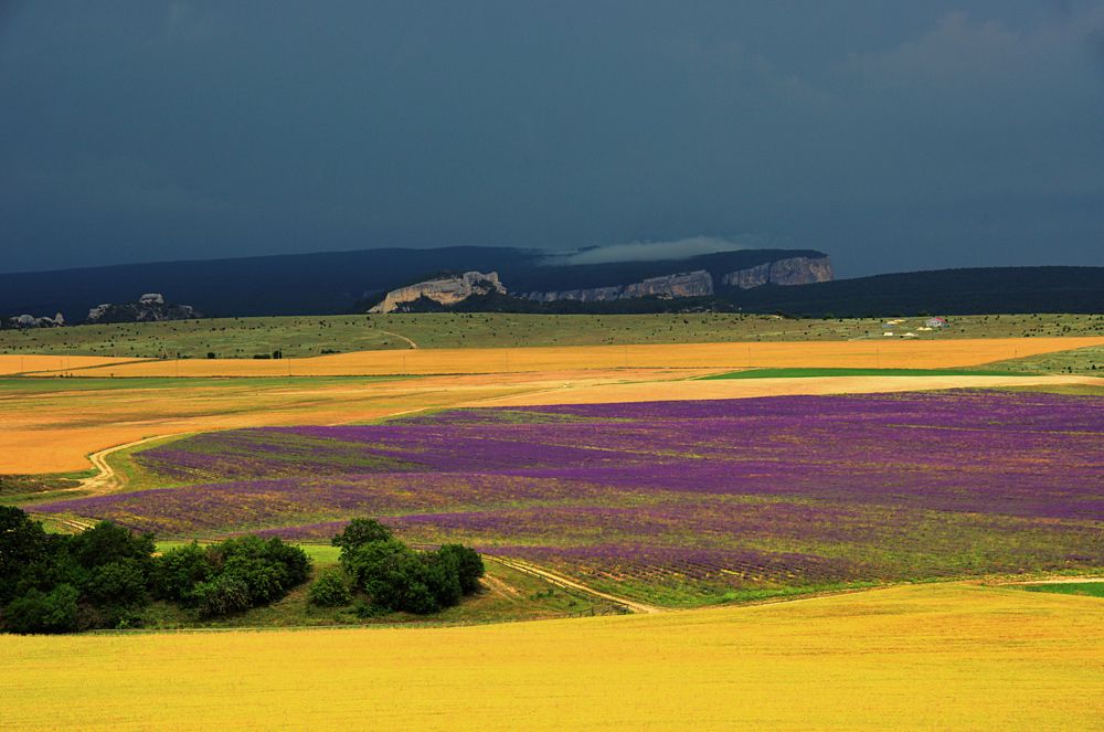 Photograph by  AlexSa