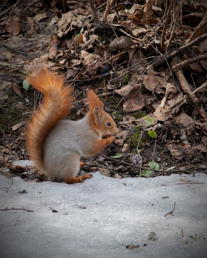Photograph by Евгений Михеев