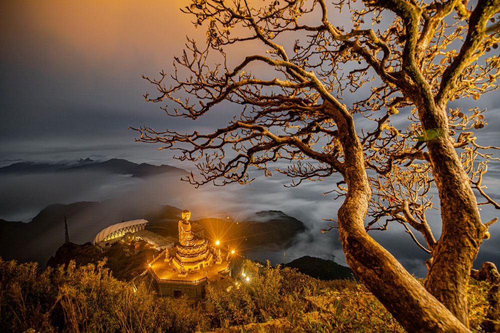 Photograph by TRAN QUY