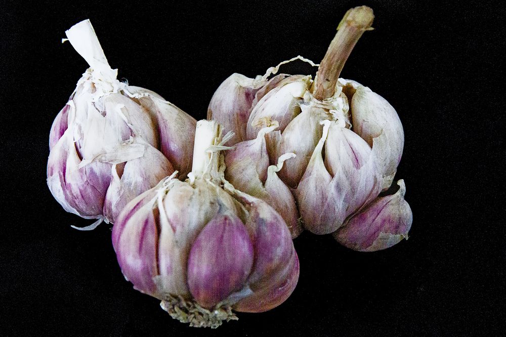 Photograph by DUONG QUANG NGHIA