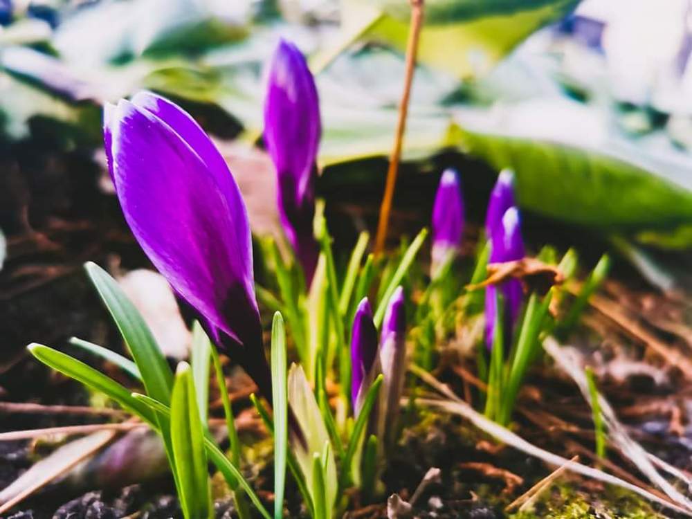 Photograph by Андрей Зиновьев