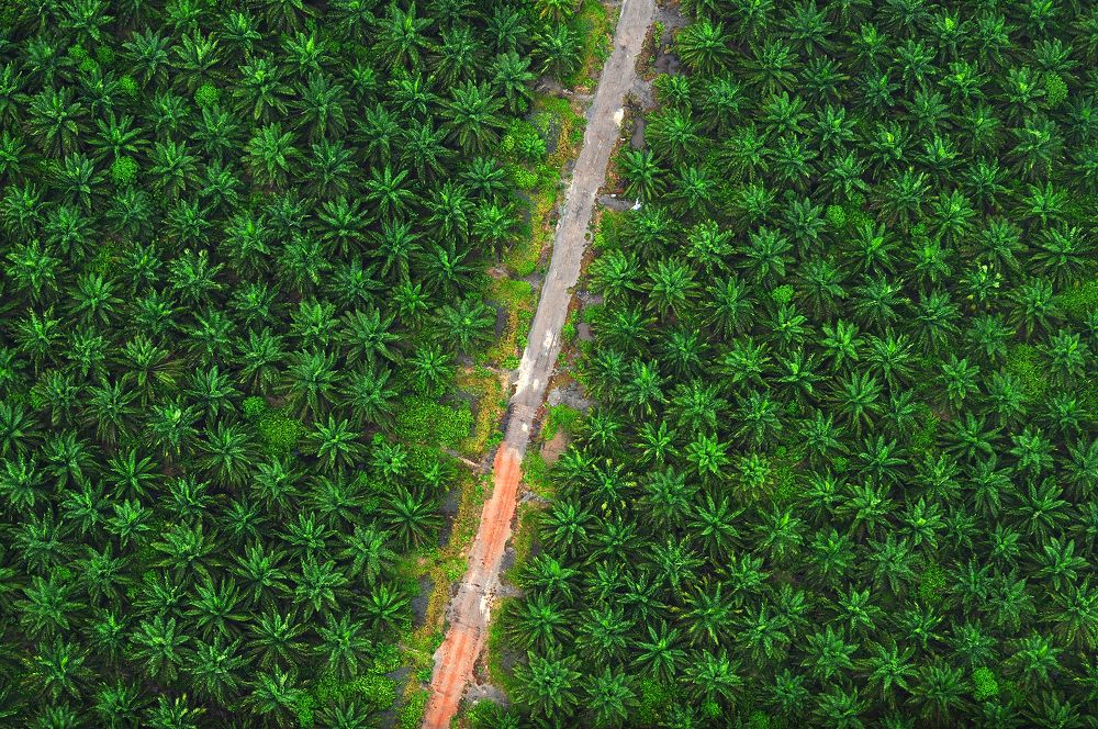 Photograph by Domi Yanto