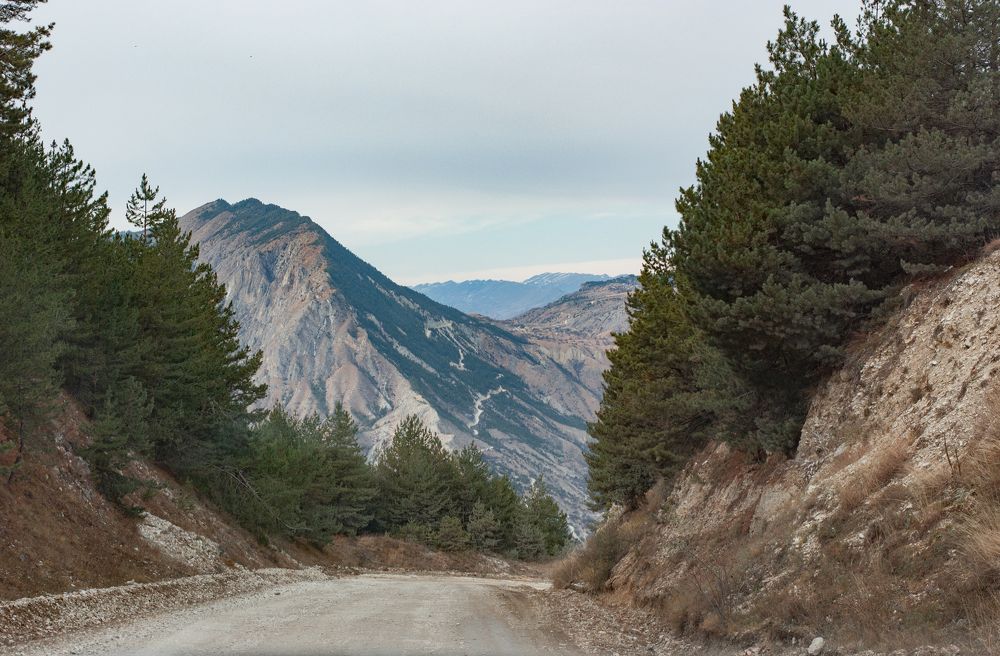 Photograph by Татьяна Карпенко