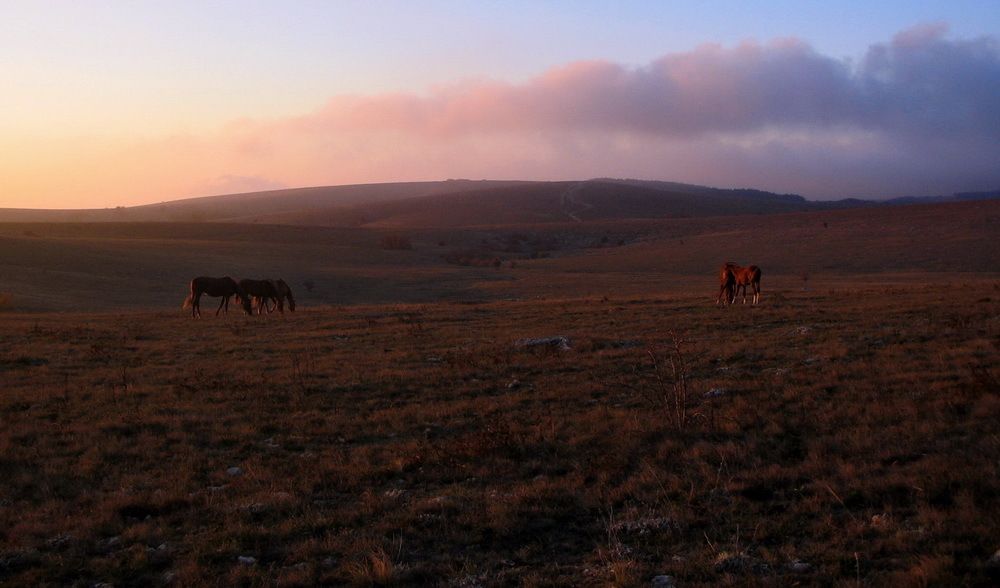 Крымские просторы
