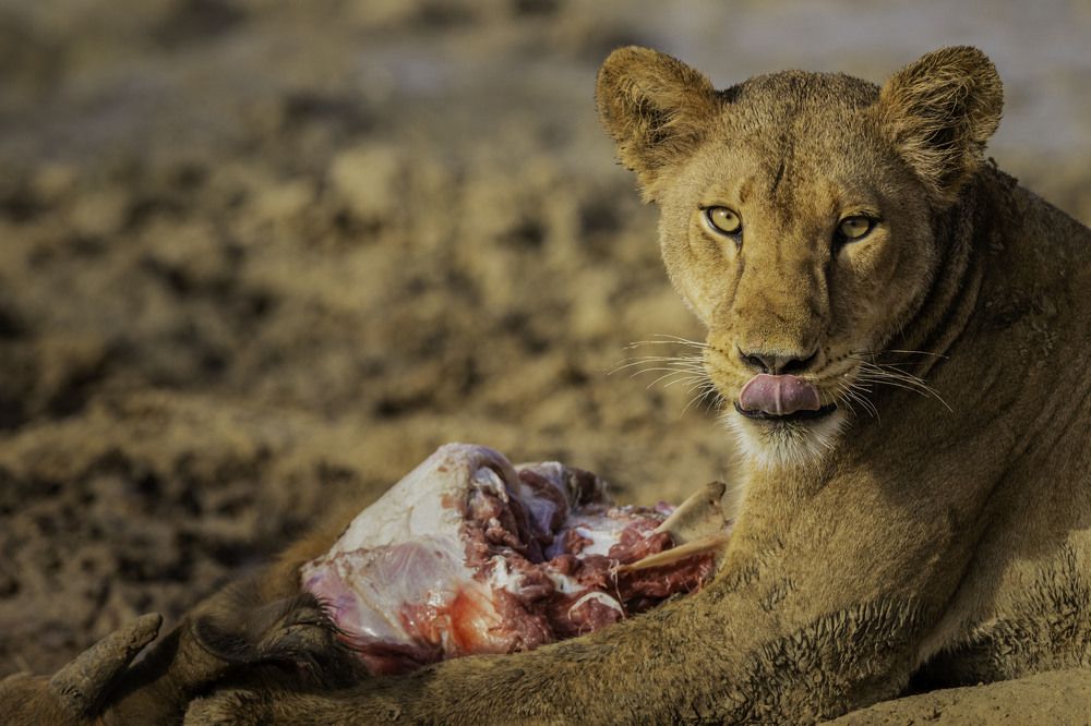 Photograph by Ricardo Ferreira