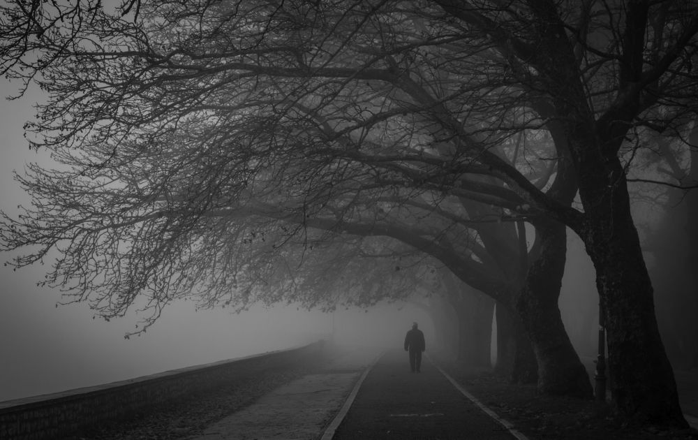 Walking among the trees and Lake Pamvotida.