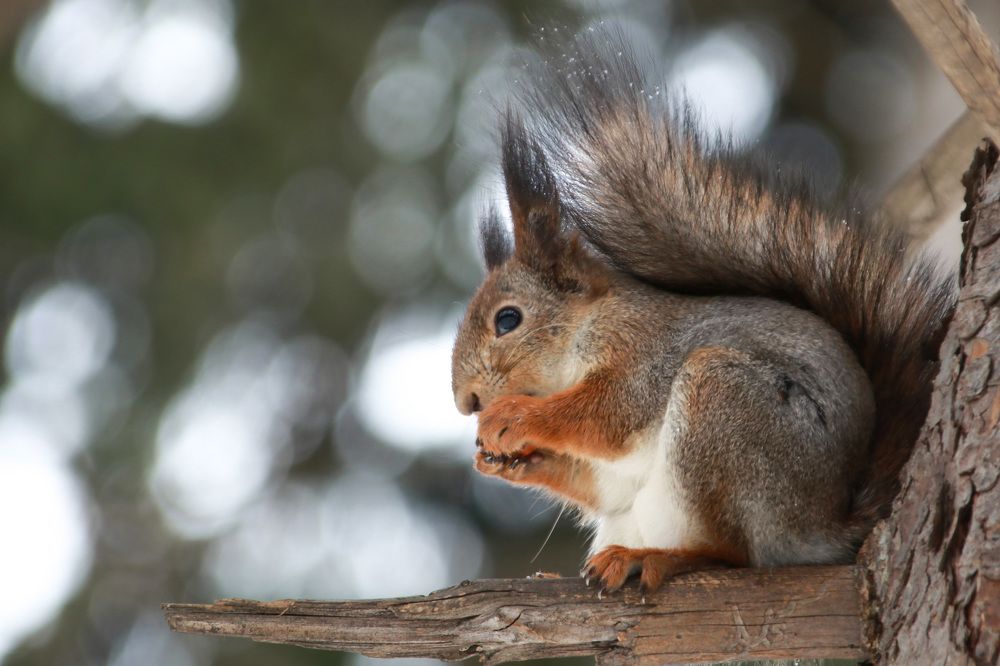 Photograph by Наталья Гайдукевич