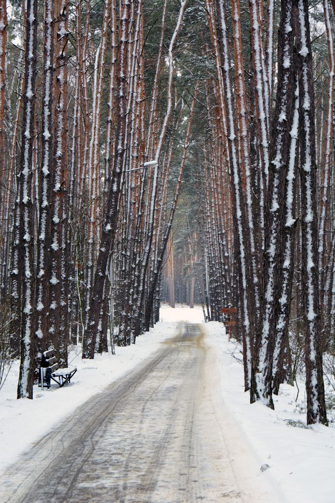 Photograph by Сергей Кривоносов