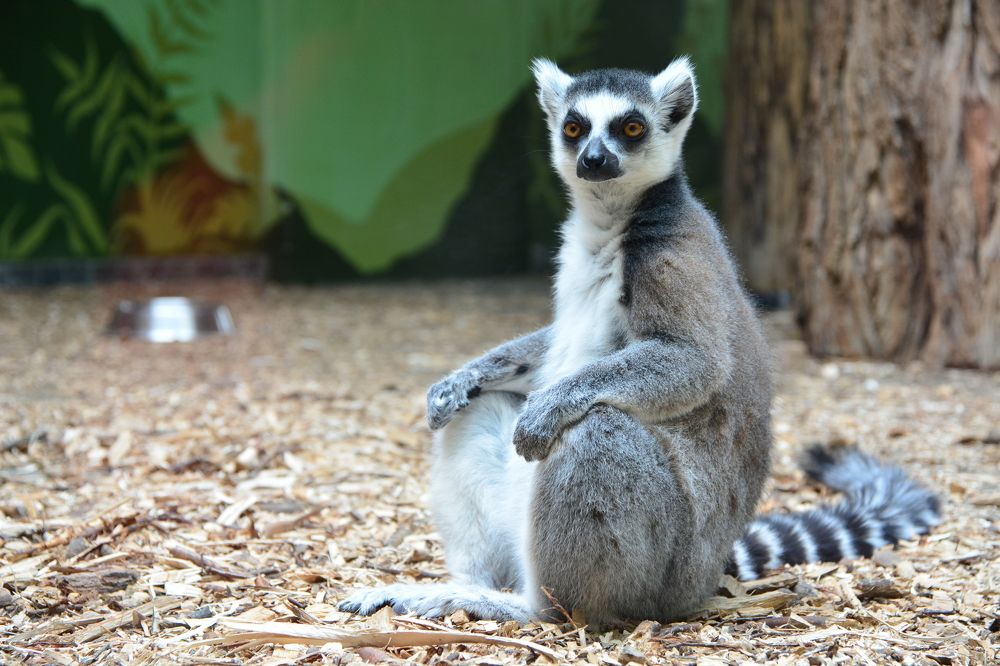 Photograph by Сергей Кривоносов