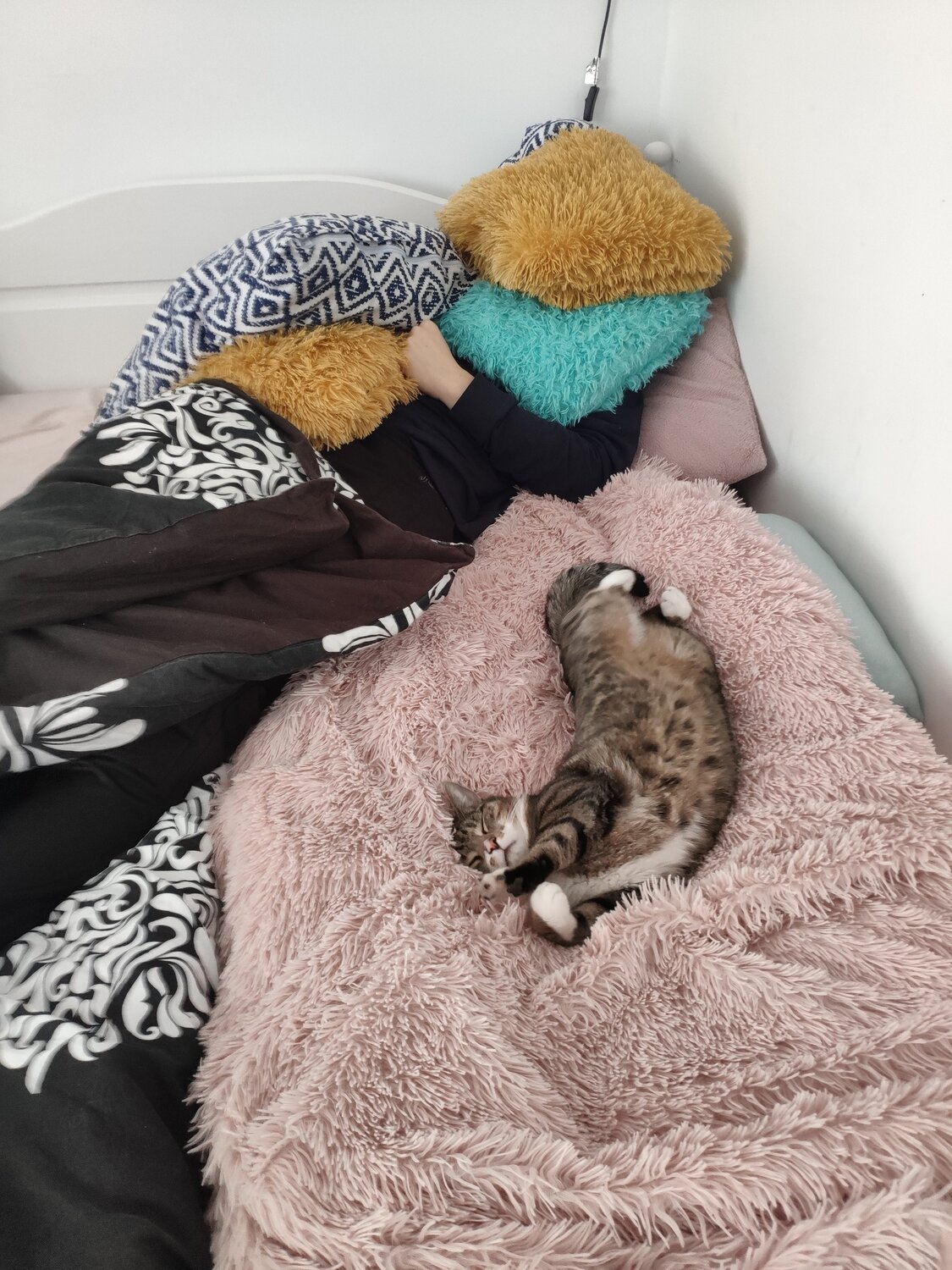 Photo #6006800