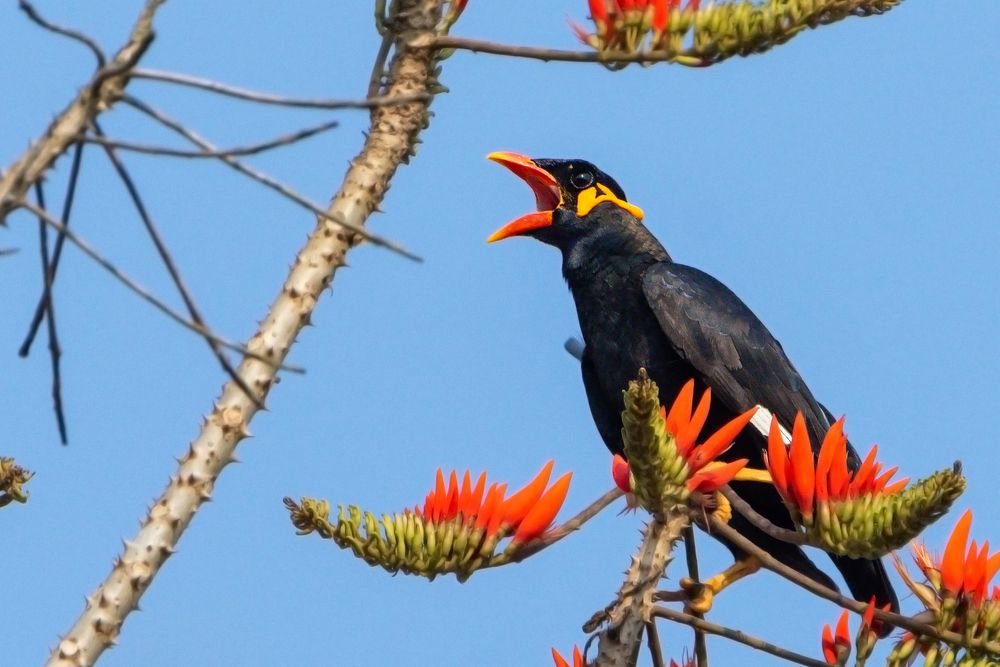 Photograph by Pinak Paul