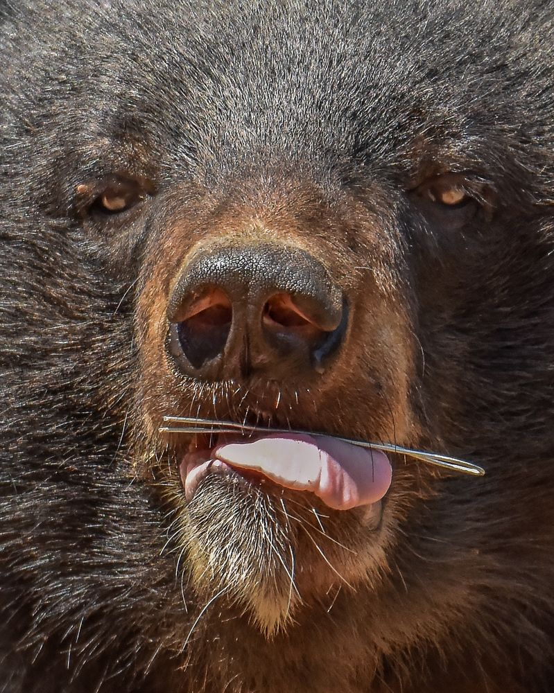 Photograph by Pinak Paul